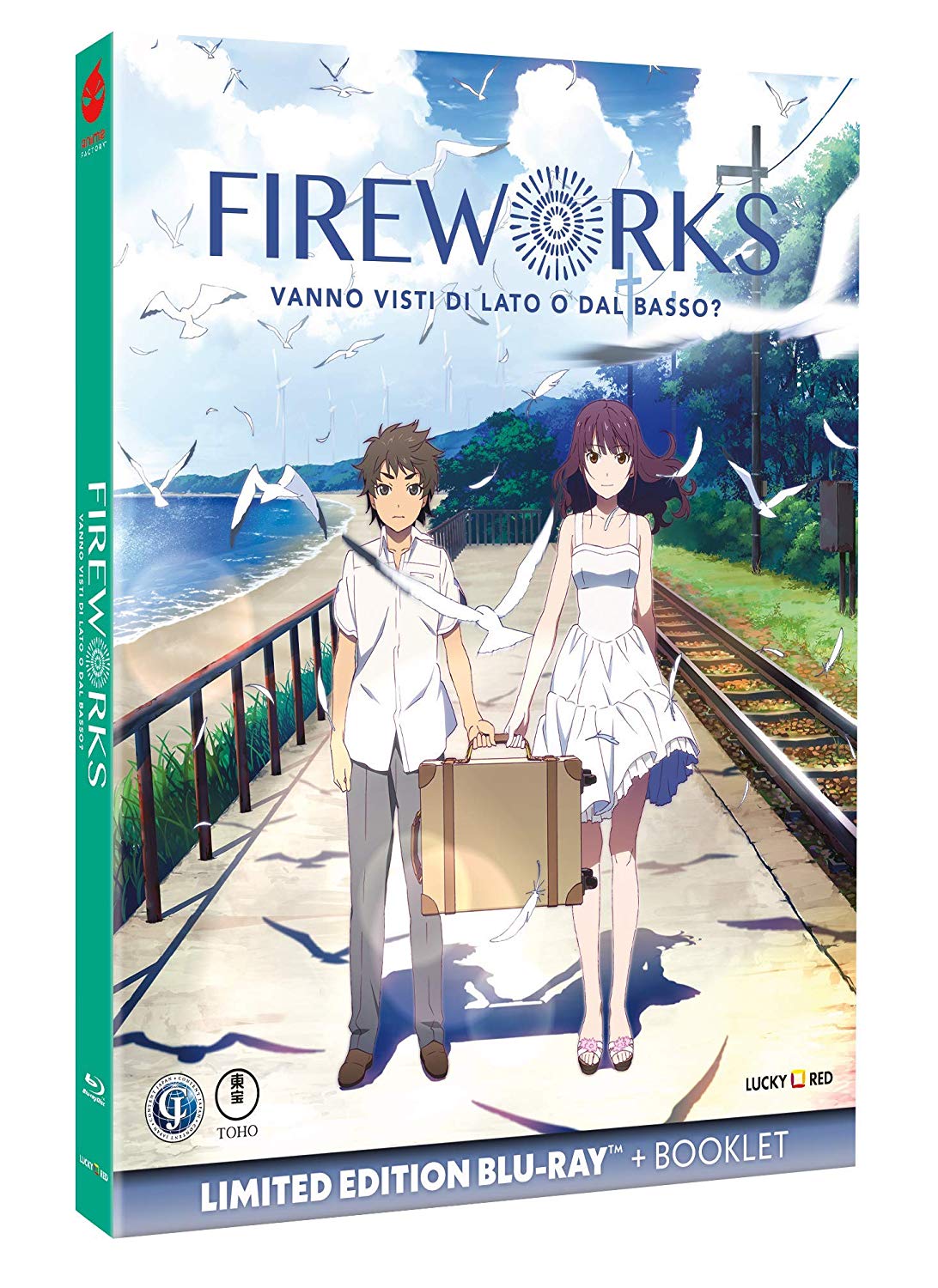 Fireworks - Limited Edition (Blu-Ray Disc + Booklet)