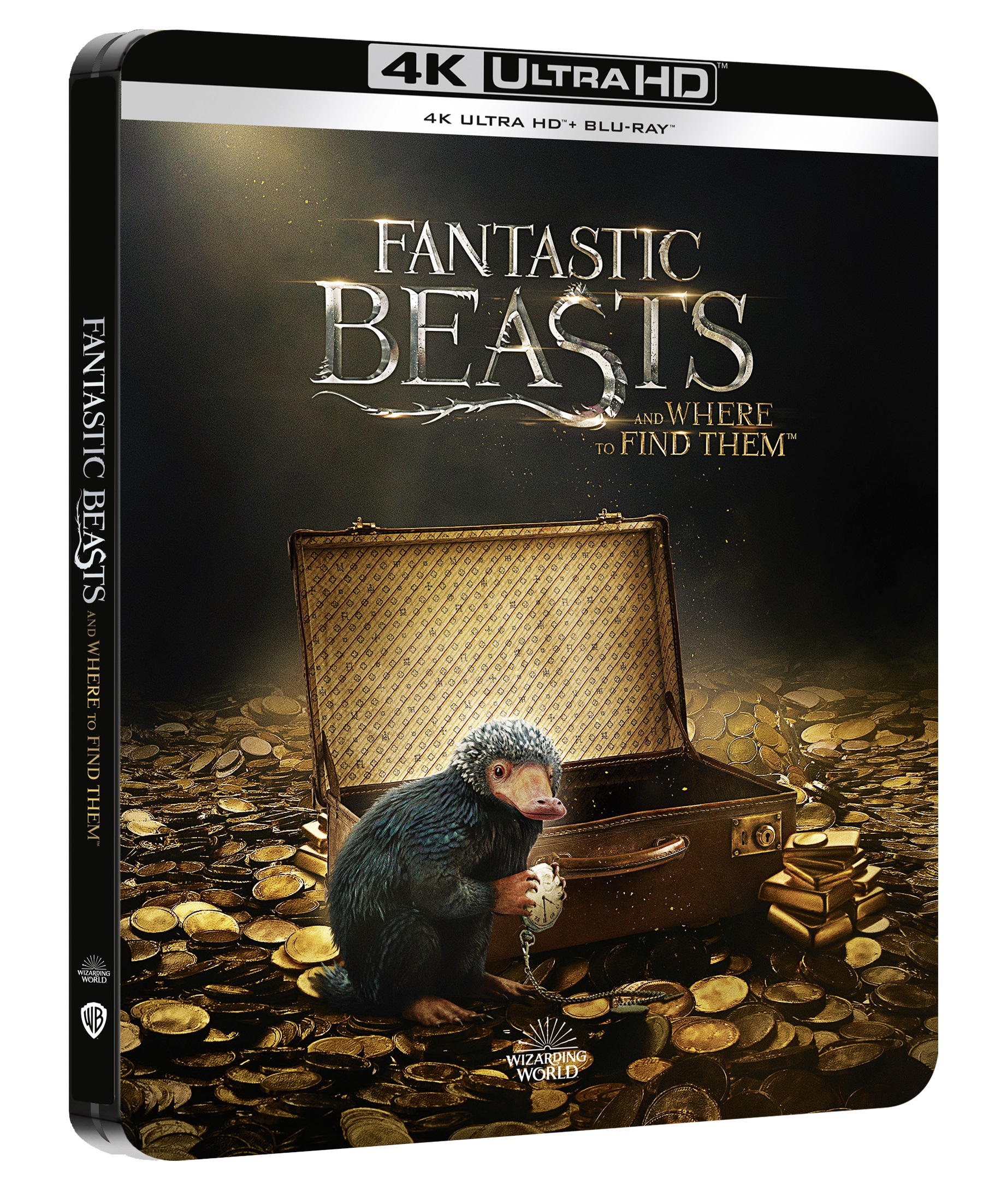 Animali fantastici e dove trovarli (4K Ultra HD + Blu-Ray Disc - SteelBook)